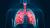 CBD olaj vagy CBD kapszula: tüdőrák ellen